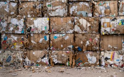 La Transición Hacia una Gestión Integral de Residuos: Autorizaciones Provisionales para los SCRAP Según el MITECO