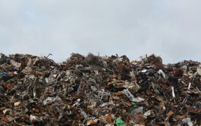 Situación de los SCRAP (a la fecha de publicación)