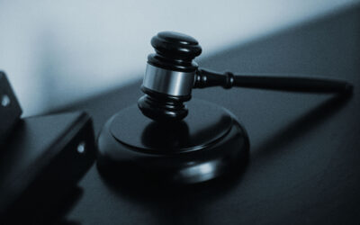 Cambios normativos en la RAP: el posible impacto en los fabricantes de palets