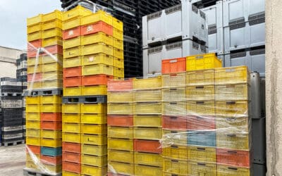 SCRAP: ¿Cómo van a cumplir con las obligaciones de la Responsabilidad Ampliada del Productor?