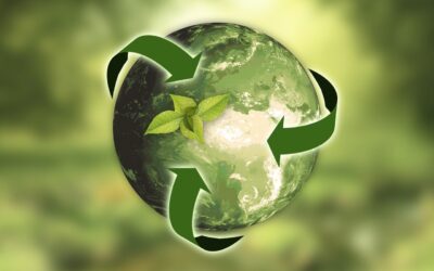 ¿Es posible tener un negocio rentable y preocupado por el medio ambiente?