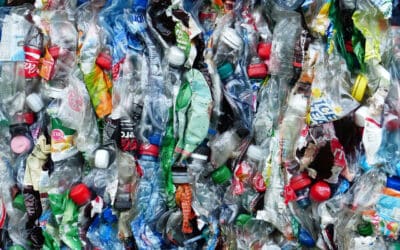 Los peligros de los super SCRAPs para los envases retornables industriales